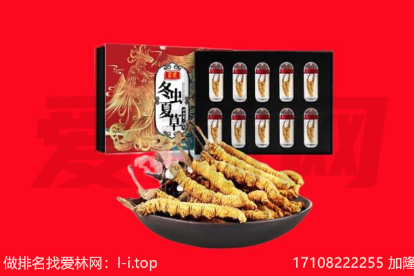 安宁市回收虫草.jpg